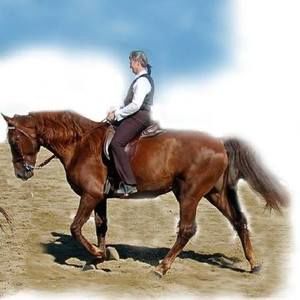 Meet your Posher, Diane